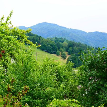 דירות Zell im Wiesenthal Haus Landblick מראה חיצוני תמונה