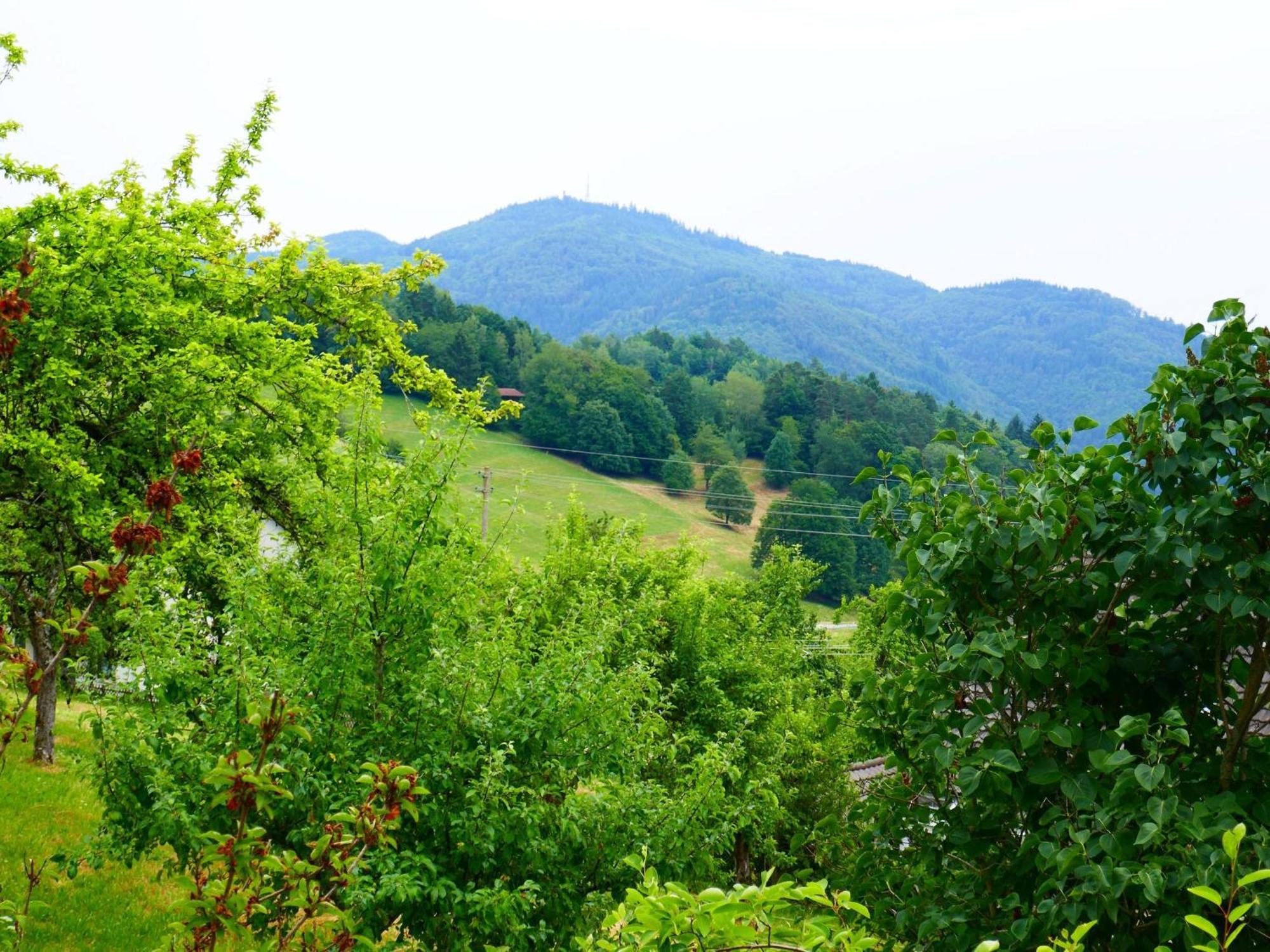 דירות Zell im Wiesenthal Haus Landblick מראה חיצוני תמונה